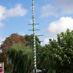 Stamm und Trägerelemente; ohne Tafeln