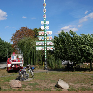 Ständebaum am 24.09.2020