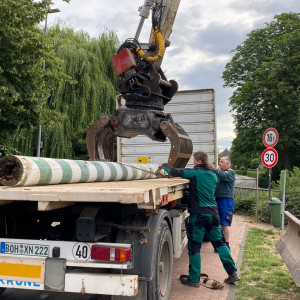 Verladung alter Stamm