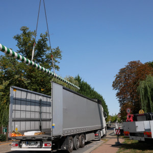 Anlieferung neuer Stamm